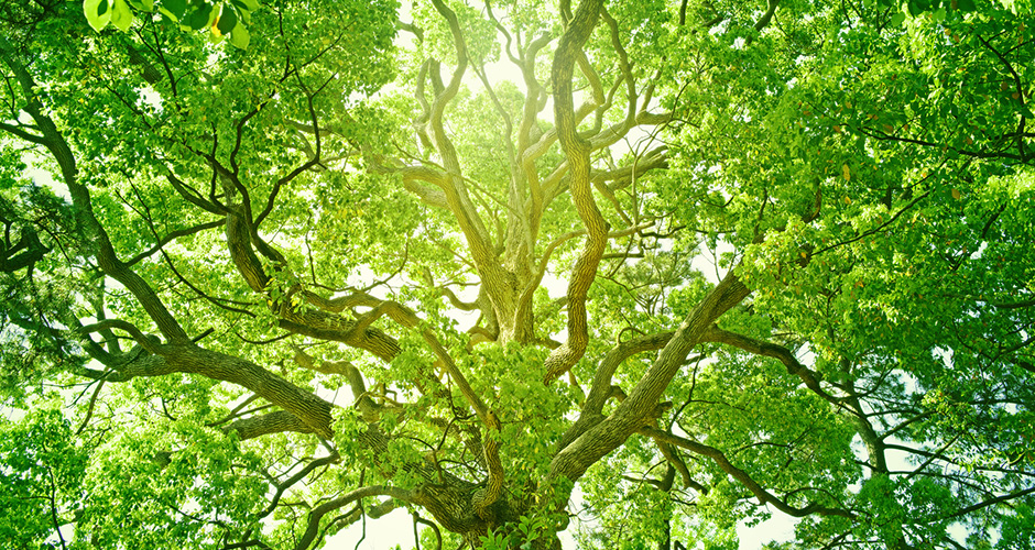 © blew_f www.fotolia.de Umwelt und Energie - Naspa 2015 - Bericht an die Gesellschaft 2015